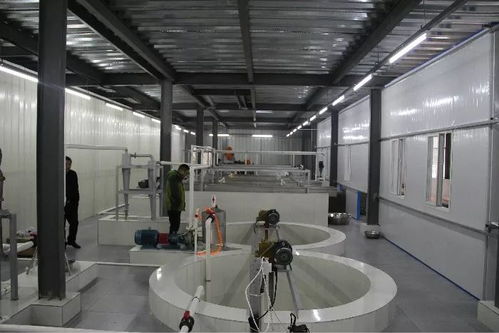 投資200多萬，竹溪首家藕粉加工廠帶動(dòng)脫貧致富